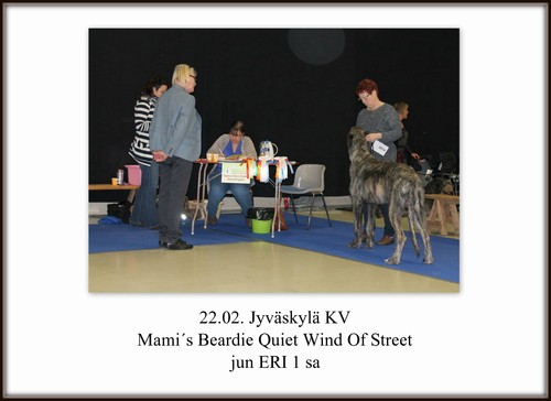 2014-02-22_jyvaskyla_kv6_9_101.jpg